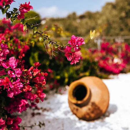 Appartamento Luxury La (adults Only) *