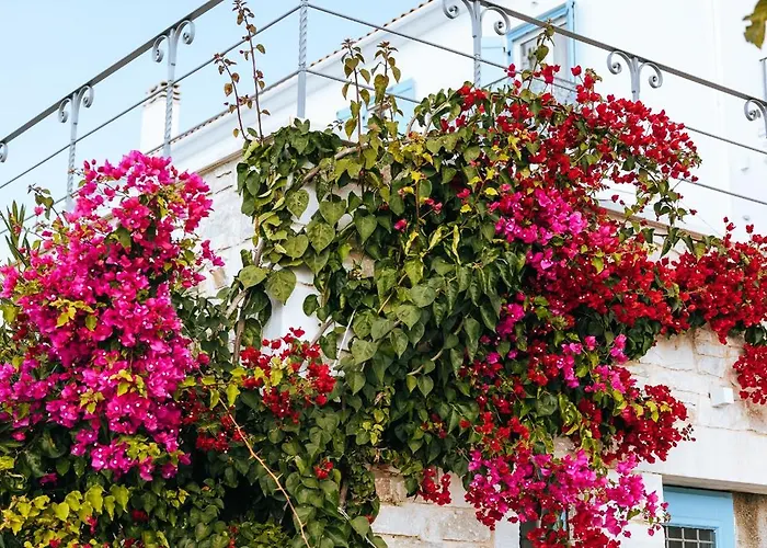 Apartament Luxury La (adults Only) Chorto